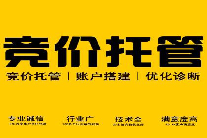 案例剖析：高价关键词推广的效益